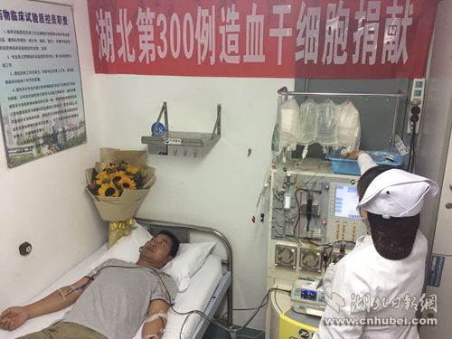 捐髓.jpg
